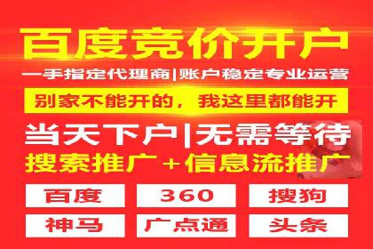 百度推广中的创意策略：成功案例解析与启示
